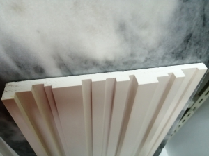 ������ ������ �������� "˳���"